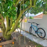 Casa Da Laranjeira Pet Friendly Holiday home