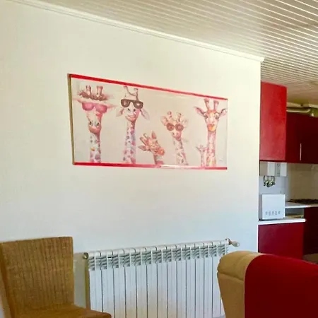 Casa Da Laranjeira Pet Friendly